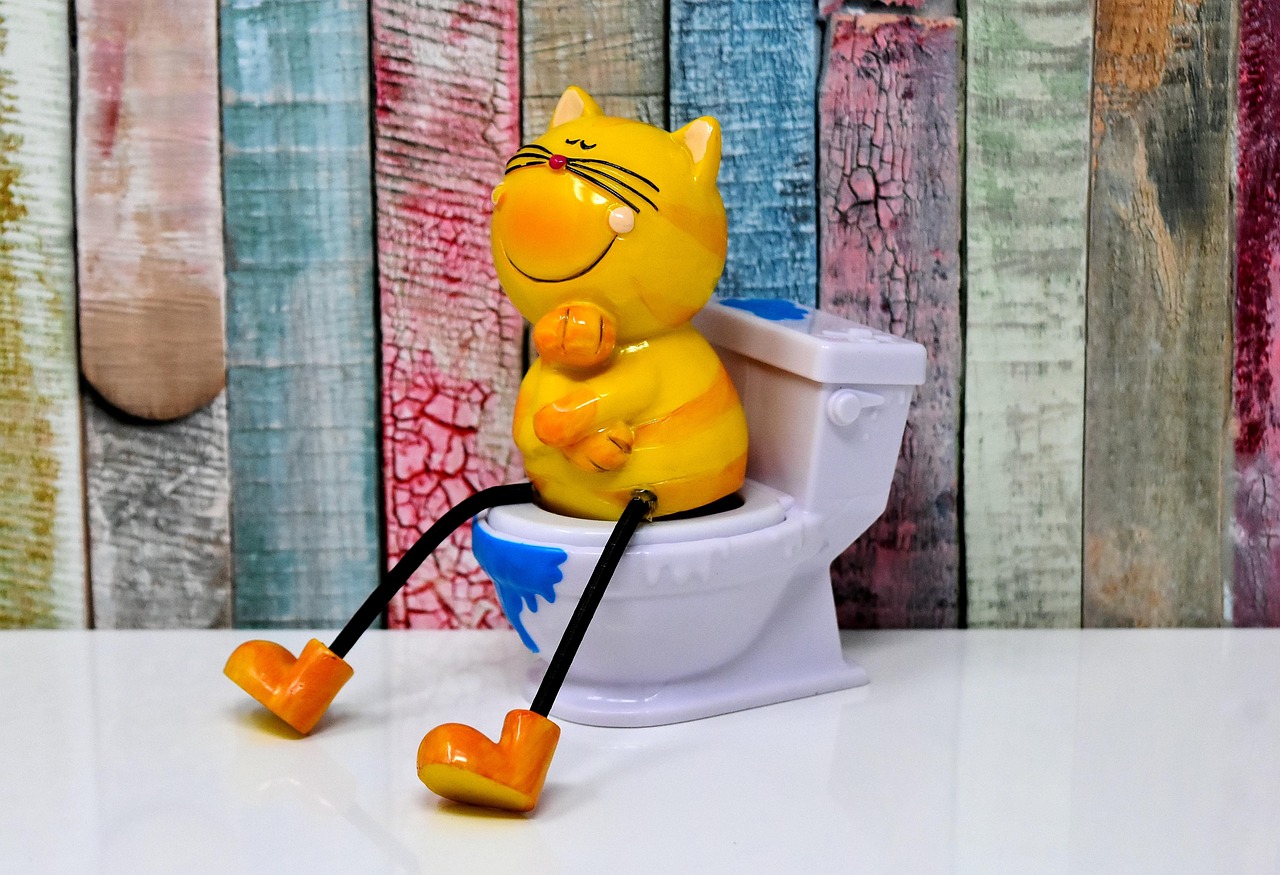 Hoe krijg ik mijn Thetford toiletcassette weer los?