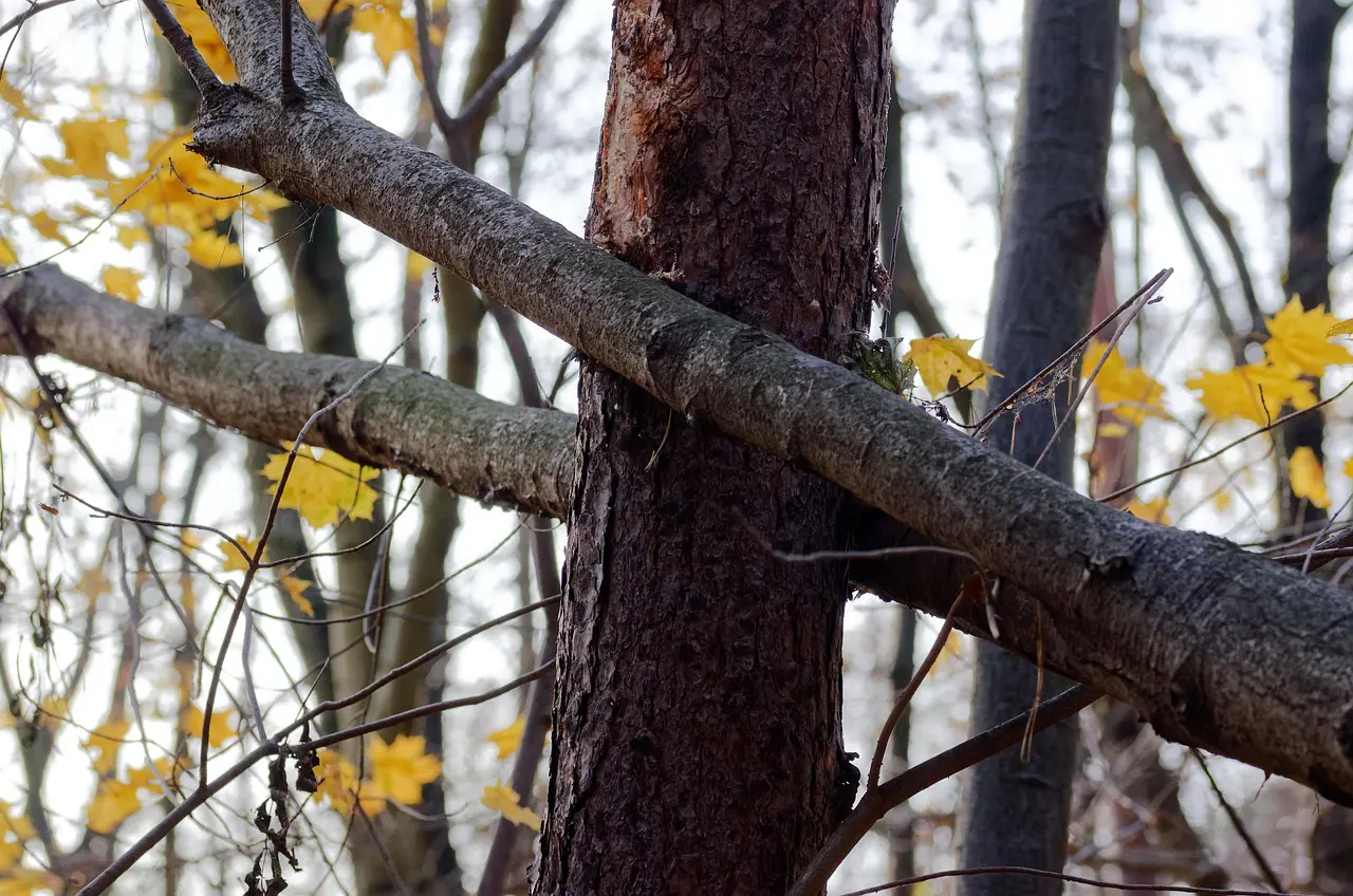 Kan ik zonnepanelen uitschakelen bij negatieve stroomprijs?
